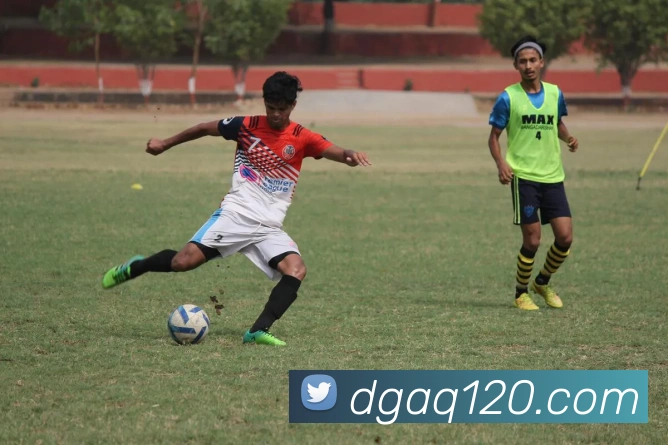 乐鱼平台生态图