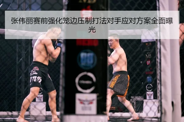 张伟丽赛前强化笼边压制打法对手应对方案全面曝光